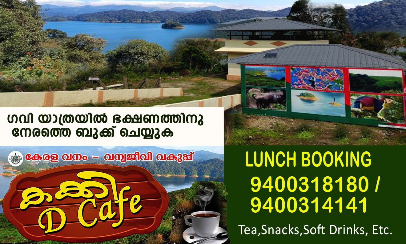 Stay Packages at Gavi