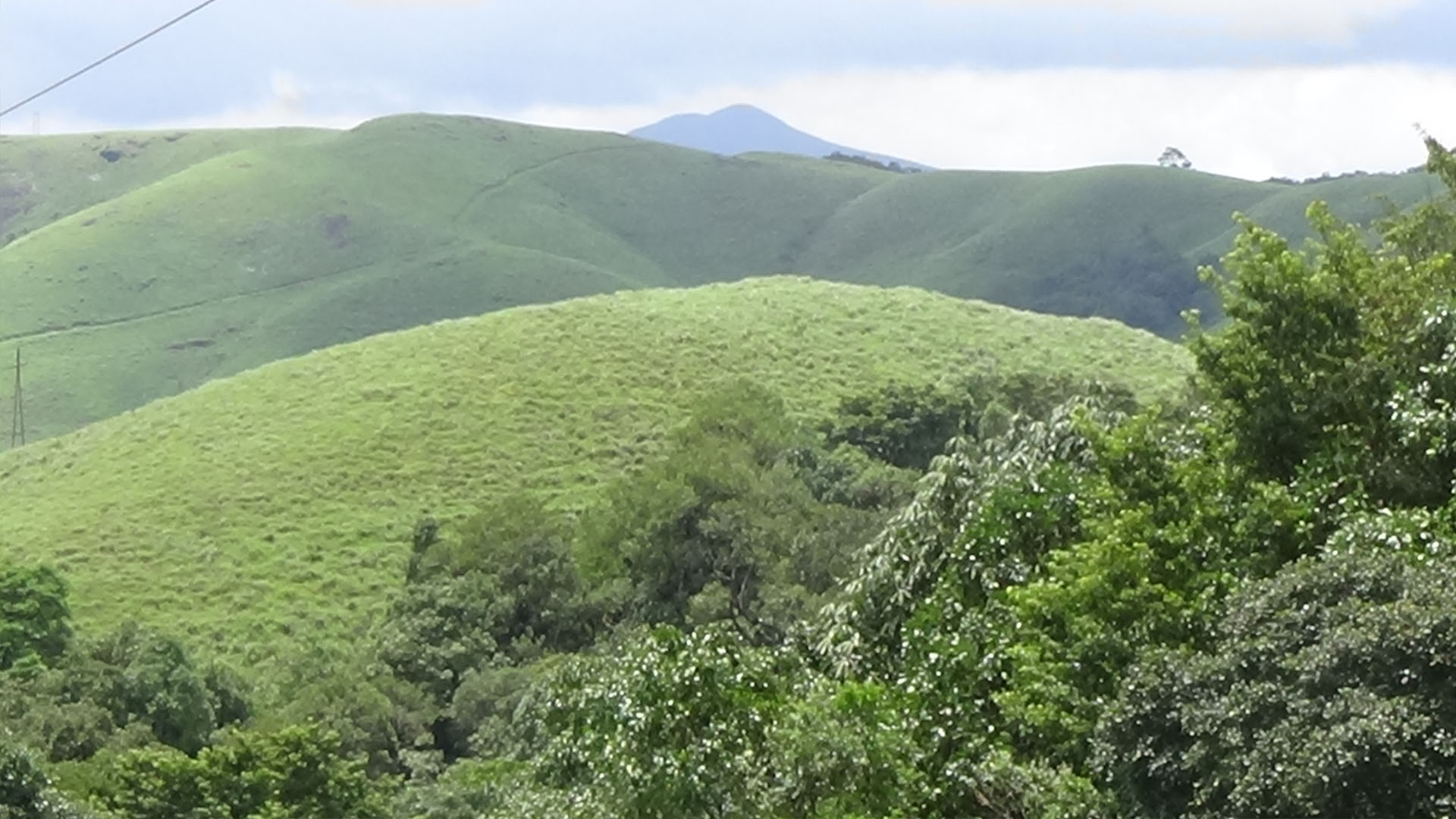 kerala forest tourism