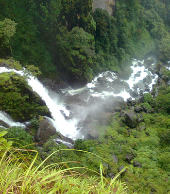 kerala forest tourism